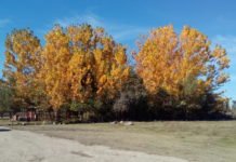 Zərdab rayonu üzrə bələdiyyələrin siyahısı zerdab-rayonu-belediyyeler-siyahi