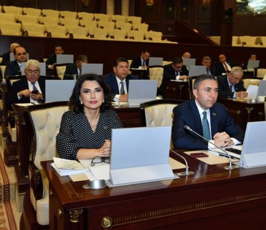 Jalə Əliyeva: “10 il əvvəl Zərdaba gedəndə yeni tikili görə bilmirdim” jale-eliyeva