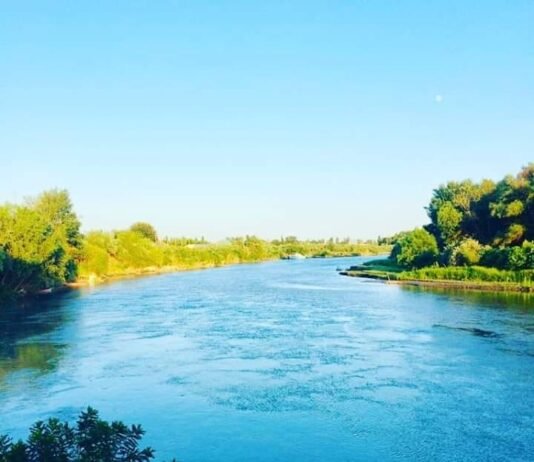 Həsən bəy Zərdabi Misirdən Zərdaba bitki növləri gətirir, calaq üsulu ilə yeni növlər yetişdirirdi… zerdab-rayonu