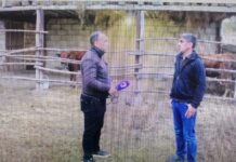 Zərdab sakininə Məşğulluqdan verilən inək 12 gün sonra tələf olub – VİDEO zerdab-qoruqbagi.png