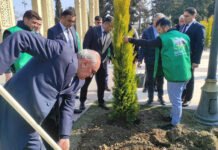 Zərdabda “Yaşıl dünya naminə həmrəylik ili” mövzusunda aksiya – Fotolar