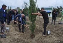 Zərdabda ağacəkmə aksiyası keçirilib, 400 ədəd müxtəlif növ ağac əkilib – FOTO