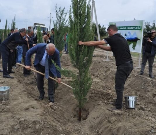 Zərdabda ağacəkmə aksiyası keçirilib, 400 ədəd müxtəlif növ ağac əkilib – FOTO