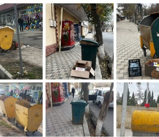 Zərdabda sanitariya-gigiyena qaydalarını pozan şəxslər cərimələnib