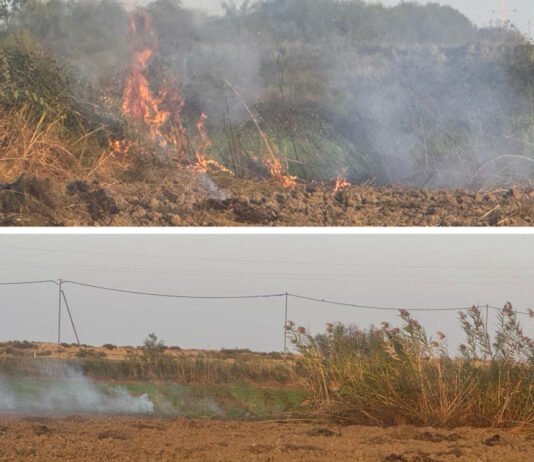 Zərdabda yanğın törədən şəxs məsuliyyətə cəlb olunub