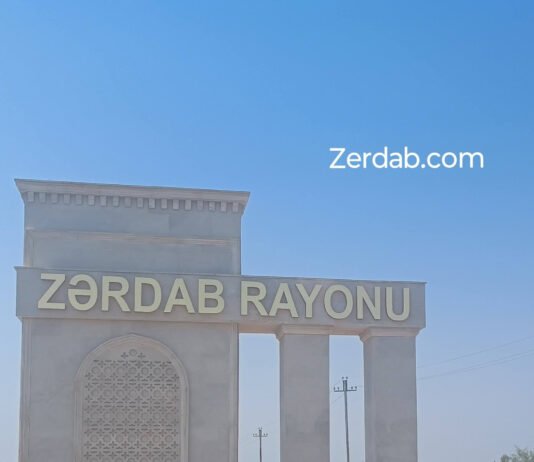 Zərdabda 5 günlük körpə öldü