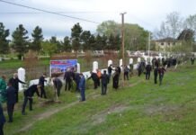 Zərdab-Mollakənd avtomobil yolunun kənarında ağacəkmə aksiyası təşkil olunub zerdab-mollakend.jpeg