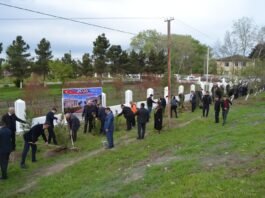 Zərdab-Mollakənd avtomobil yolunun kənarında ağacəkmə aksiyası təşkil olunub zerdab-mollakend.jpeg