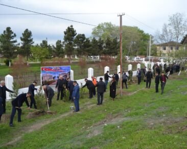 Zərdab-Mollakənd avtomobil yolunun kənarında ağacəkmə aksiyası təşkil olunub zerdab-mollakend.jpeg