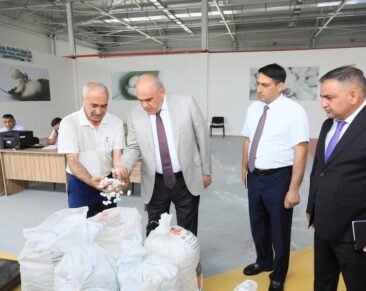 Zərdabda barama tədarükünə başlanıldı – FOTOLAR zerdab-barama2